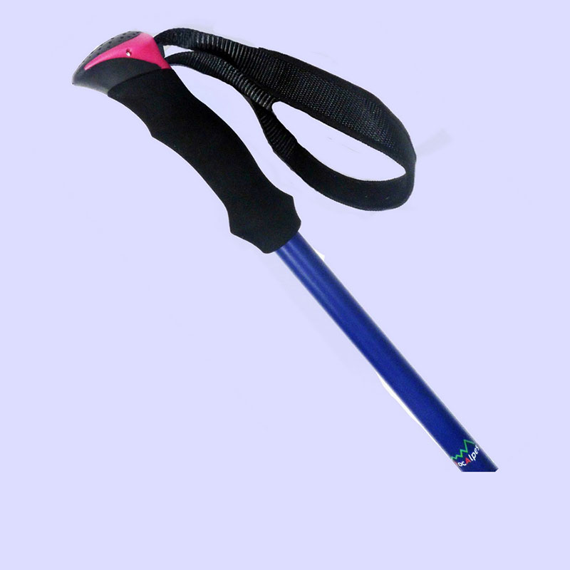 Poignée ergonomique en EVA avec tête de bâton en couleur tendance