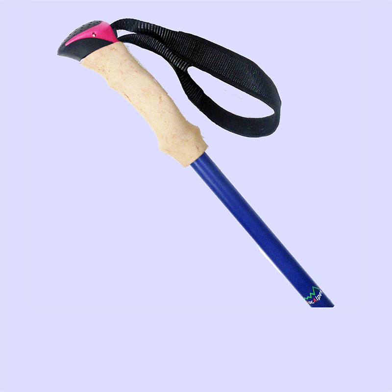 Poignée ergonomique en EVA-Liège avec tête de bâton en couleur tendance